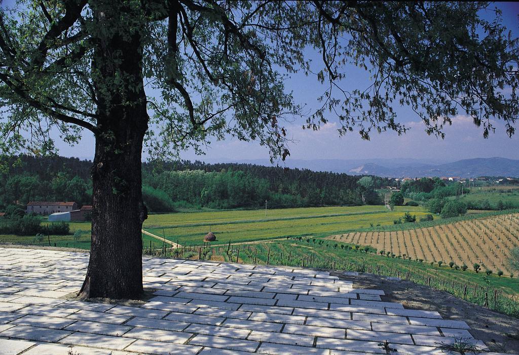 Agriturismo Le Due Querce Lazzeretto Ngoại thất bức ảnh